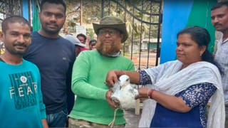 మానేరువాగు ఒడ్డున గాయంతో తల్లడిల్లిన వలస పక్షి.. ప్రాణదాతగా నిలిచిన పక్షి ప్రేమికుడు..!