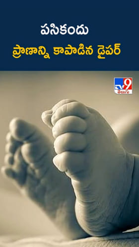 Diaper: పసికందును లాక్కెళ్లి బావిలో పడేసిన కోతి.. కాపాడిన డైపర్
