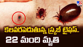 కలవరపెడుతున్న స్క్రబ్‌ టైఫస్‌..22 మంది మృతి