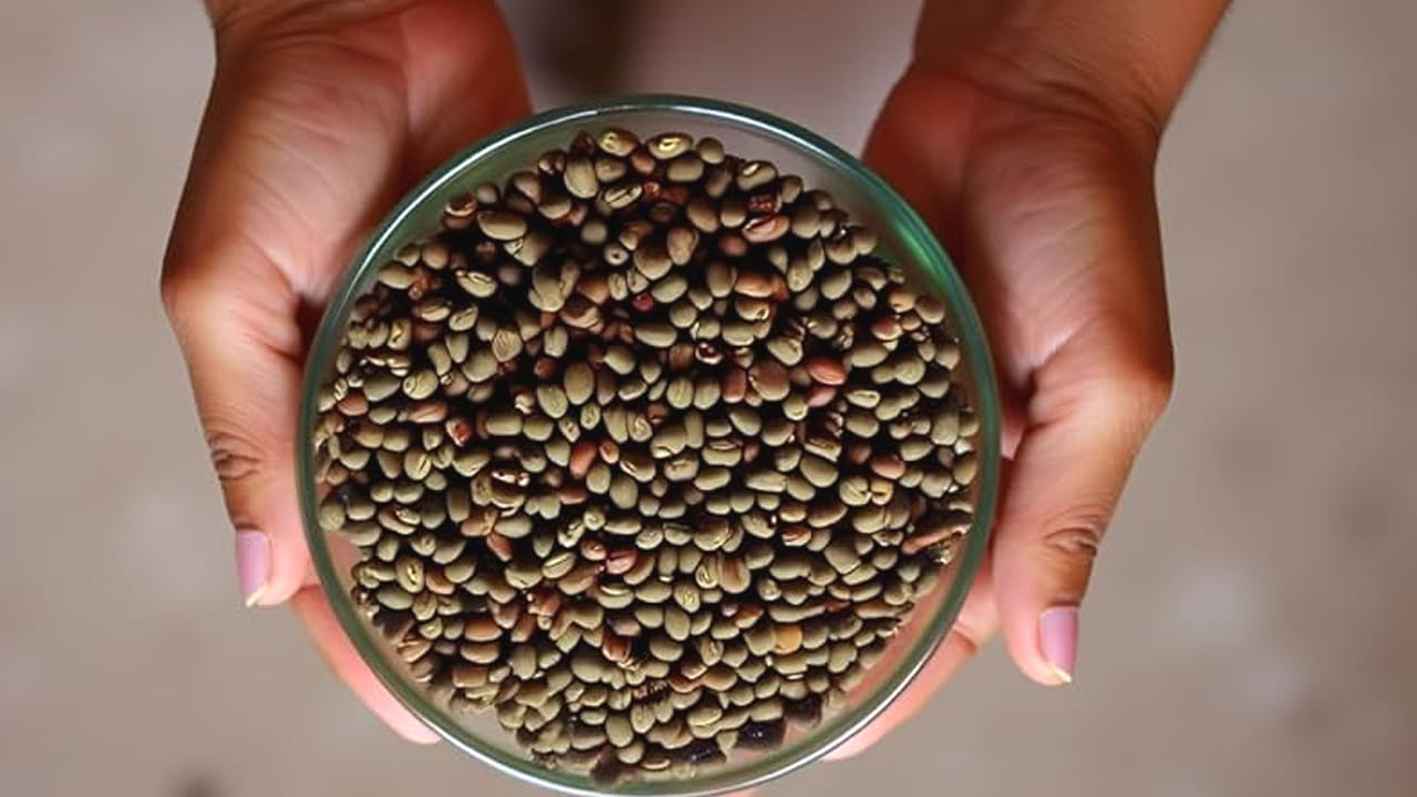 
అందుకే అందరూ దీనిని పోషకాల పుట్ట అని అంటారు. ఇక ఆడవాళ్ళకి అయితే ఇది అమృతం అని చెప్పొచ్చు. ముఖ్యంగా, కొన్ని 
సమస్యలకు దీనితో చెక్ పెట్టొచ్చు. అవేంటో ఇక్కడ తెలుసుకుందాం.