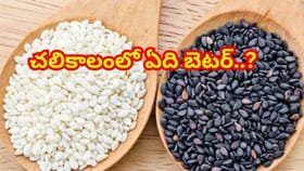 తెల్ల నువ్వులు వర్సెస్‌ నల్ల నువ్వులు.. చలికాలంలో ఏది బెటర్..?