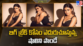 బిగ్ బ్రేక్ కోసం ఎదురుచూస్తున్న షాలిని పాండే