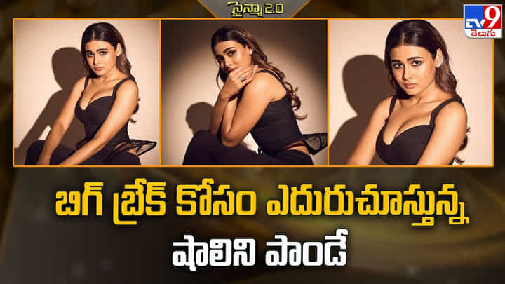 బిగ్ బ్రేక్ కోసం ఎదురుచూస్తున్న షాలిని పాండే బిగ్ బ్రేక్ కోసం ఎదురుచూస్తున్న షాలిని పాండే