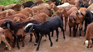 చారిత్రక, వారసత్వ స్మారక చిహ్నాన్ని రక్షించడానికి చర్యలు తీసుకోండిః కేంద్ర మంత్రి కిషన్ రెడ్డి