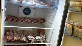 మూగ జీవాల బ్లడ్ దందా వెనుక మతలబేంటి...?