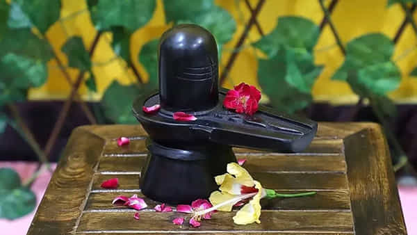 శివలింగం పూజా విధానం.. ఈ తప్పులు చేస్తే ఫలితం శూన్యమే!