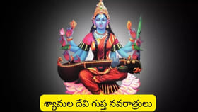 గుప్త నవరాత్రులలో.. శ్యామల దేవిని పూజిస్తే ఎన్ని లాభాలో తెలుసా?
