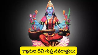 Gupta Navaratri: గుప్త నవరాత్రులు ప్రారంభం.. ఈ తప్పులు అస్సలు చేయకండి