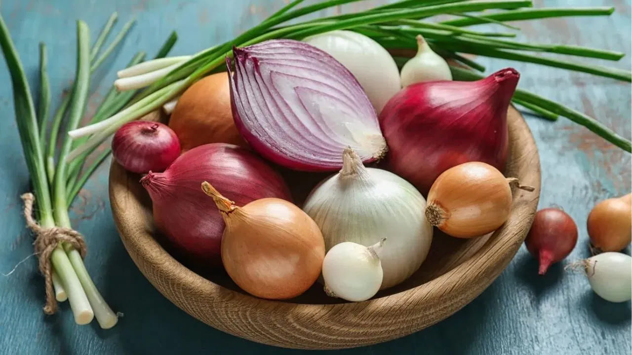 ఉల్లిపాయలు భూమి లోపల పెరుగుతాయి కాబట్టి నేలలో ఉండే సూక్ష్మక్రిములు వీటిపై ఉండే అవకాశం ఉంది. పచ్చి ఉల్లిపాయలను సరిగ్గా కడగకుండా తింటే టేప్‌వార్మ్ వంటి పరాన్నజీవులు మన శరీరంలోకి ప్రవేశించవచ్చు. ఇవి అరుదైన సందర్భాల్లో మెదడుపై ప్రభావం చూపే సిస్టిక్ సిర్రోసిస్ వంటి తీవ్ర ఇన్ఫెక్షన్లకు కారణం కావచ్చని నిపుణులు హెచ్చరిస్తున్నారు. అంతేకాకుండా ఉల్లిపాయలోని సల్ఫర్ సమ్మేళనాల వల్ల అది తిన్న తర్వాత శ్వాసలో మరియు శరీరంపై ఒక రకమైన ఘాటైన వాసన చాలా సేపు ఉండిపోతుంది.