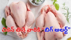 లివర్ కాదు.. చికెన్‌లోని ఈ పార్ట్ తింటే.. ఆ సమస్యలన్ని మటాషే!