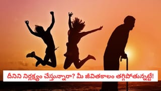 Beauty Tips: బ్యూటీ పార్లర్లకు వెళ్లే పనిలేదు.. ఈ సింపుల్‌ టిప్స్‌ పాటిస్తే చాలు.. ముఖం అద్దంగా మెరవాల్సిందే!