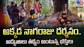 అక్కడ నాగరాజు దర్శనం.. అద్భుతాలు తథ్యం అంటున్న భక్తులు
