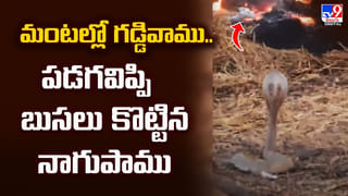 Vizag: విశాఖ సముద్రంలో షాకింగ్‌ దృశ్యం