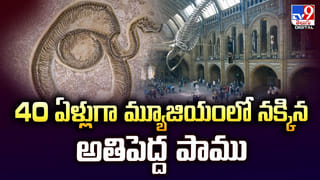ఇంకో అడుగు ముందుకెళితే అంతే
