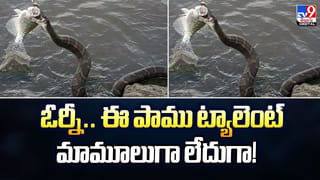 యాదగిరిగుట్టలో ఏం జరిగింది.. బంగారు, వెండి డాలర్లు ఎక్కడ?