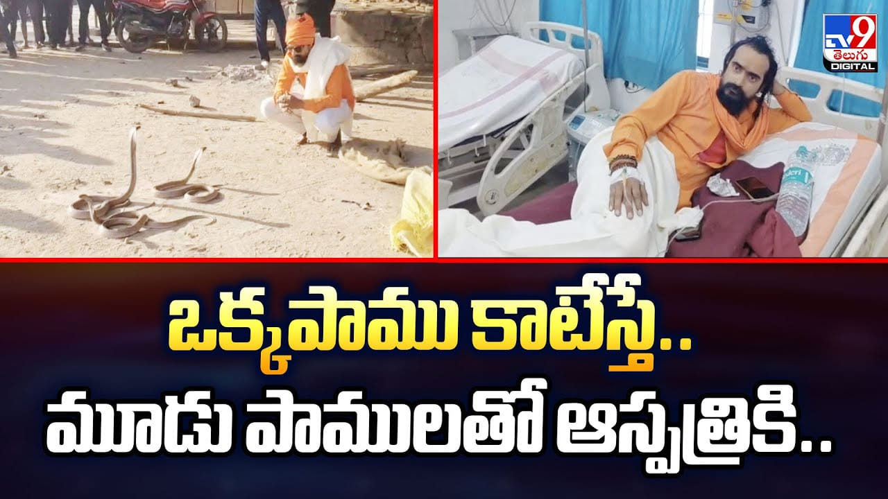 ఒక్కపాము కాటేస్తే.. మూడు పాములతో ఆస్పత్రికి..