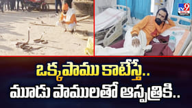 ఒక్కపాము కాటేస్తే.. మూడు పాములతో ఆస్పత్రికి..