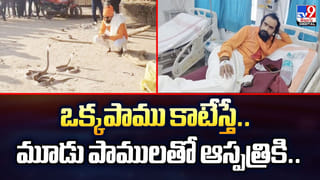 యజమాని కోసం ప్రాణాలొడ్డిన శునకం!