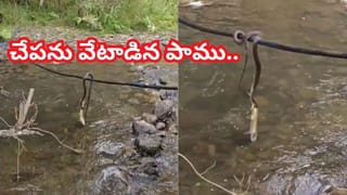 పాకిస్తాన్‌లో బయటపడ్డ అరుదైన నిధి..! దెబ్బకు ప్రపంచంలోనే అత్యంత ధనిక దేశం అయ్యే ఛాన్స్..!!