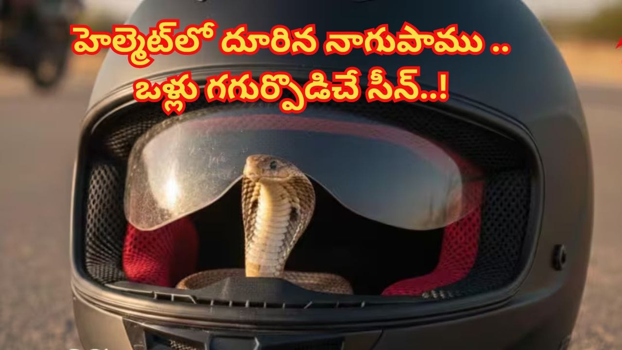 Snake In Helmet : హెల్మెట్‌లో దూరిన నాగుపాము.. హడలిపోయిన యువతి.. ఒళ్లు గగుర్పొడిచే సీన్‌ వైరల్‌