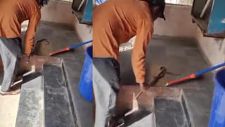 Vemulawada: వేములవాడ ఆలయలో బుసలు కొడుతున్న నాగులు..