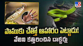 పాముకు చేత్తో ఆహారం పెట్టాడు !! కట్ చేస్తే.. చేతి వేలు కాస్తా..