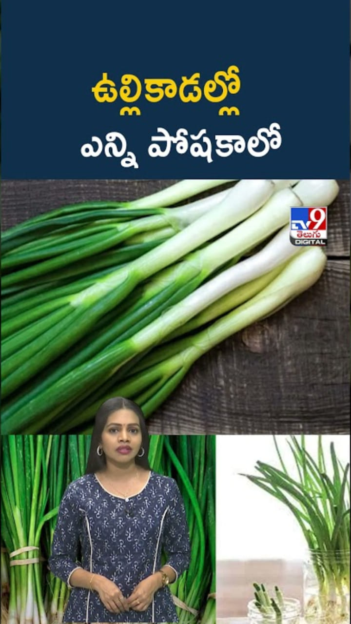 ఉల్లికాడల్లో ఎన్ని పోషకాలో తెలిస్తే.. వదిలిపెట్టే ప్రసక్తే ఉండదు