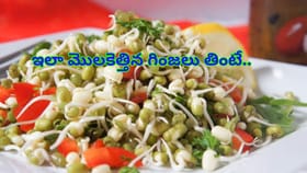 మొలకలా మజాకా?రోజూ గుప్పెడు తిన్నారంటే హెల్త్‌కి ఫుల్‌ సెక్యూరిటీ!