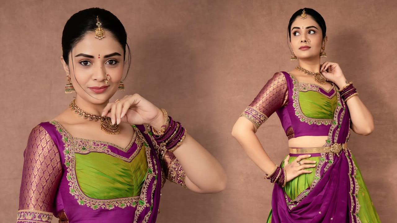 నిజామాబాద్ కు చెందిన శ్రీముఖి.. నటనపై ఆసక్తితో సినీరంగంలోకి అడుగుపెట్టింది. మొదట్లో సినిమాల్లో చిన్న చిన్న అవకాశాలు వచ్చాయి. 2010లో త్రివిక్రమ్ శ్రీనివాస్ దర్శకత్వంలో అల్లు అర్జున్ నటించిన జులాయి సినిమాలో బన్నీ చెల్లిగా కనిపించింది. మొదటి సినిమాతోనే అందరి దృష్టిని ఆకర్షించింది. 