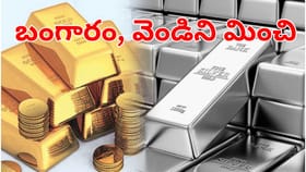 బంగారం, వెండిని మించి.. ఇప్పుడు దీనికే ఫుల్‌ డిమాండ్.. ఏదంటే?