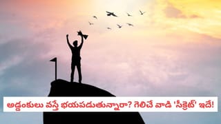 సంక్రాంతి స్పెషల్‌..! తెల్ల నువ్వులు వర్సెస్‌ నల్ల నువ్వులు.. చలికాలంలో ఏది బెటర్..?