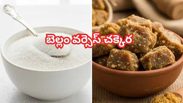 Sugar vs Jaggery: బెల్లం వర్సెస్ చక్కెర.. ఇది కాదు సమస్య..! నిపుణులు చెప్పేది తెలిస్తే..
