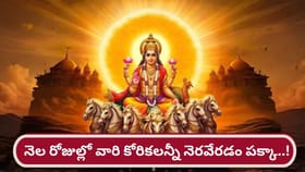 సంక్రాంతి నుంచి ఆ రాశుల వారి కోరికలన్నీ సఫలం!