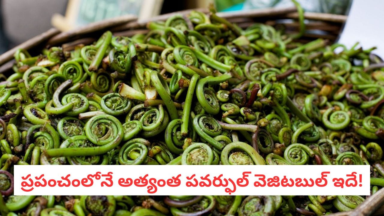 Super Food: మటన్, చికెన్ బలాదూర్: ఈ కూరగాయ ముందు నాన్-వెజ్ కూడా తక్కువే..
