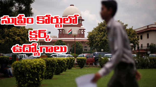 Supreme Court Jobs 2026: సుప్రీంకోర్టులో క్లర్క్ ఉద్యోగాలకు నోటిఫికేషన్ విడుదల.. నెలకు రూ.లక్ష జీతం