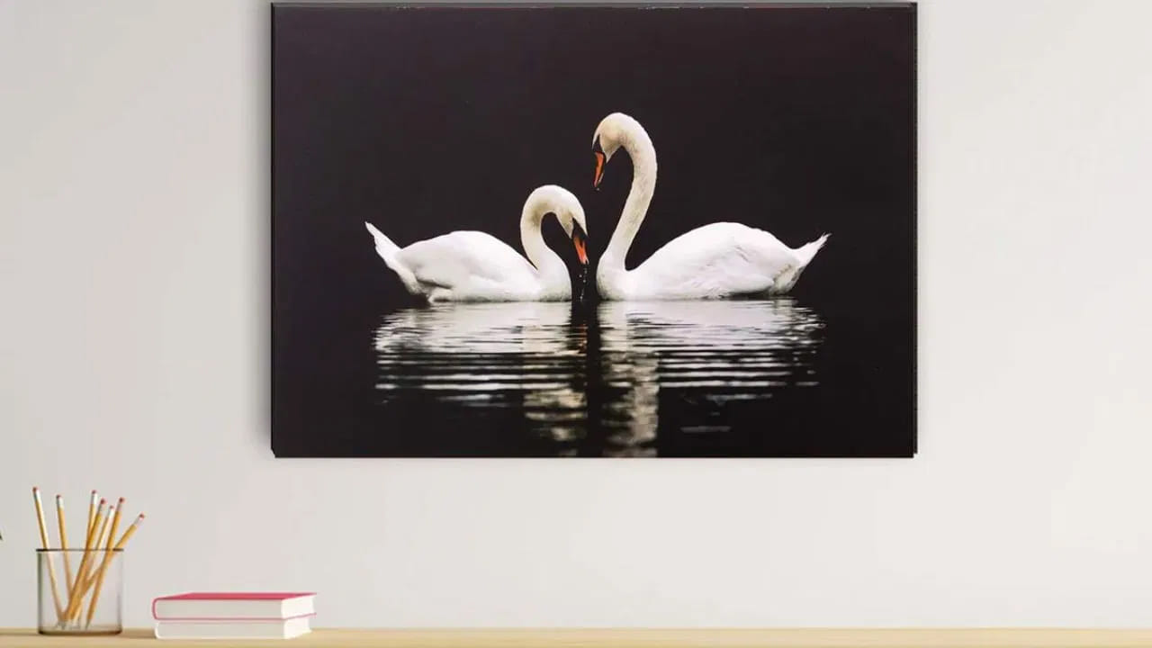 Vastu Tips: ఇంట్లో హంసల జత చిత్రం.. ఎన్ని లాభాలో తెలుసా?