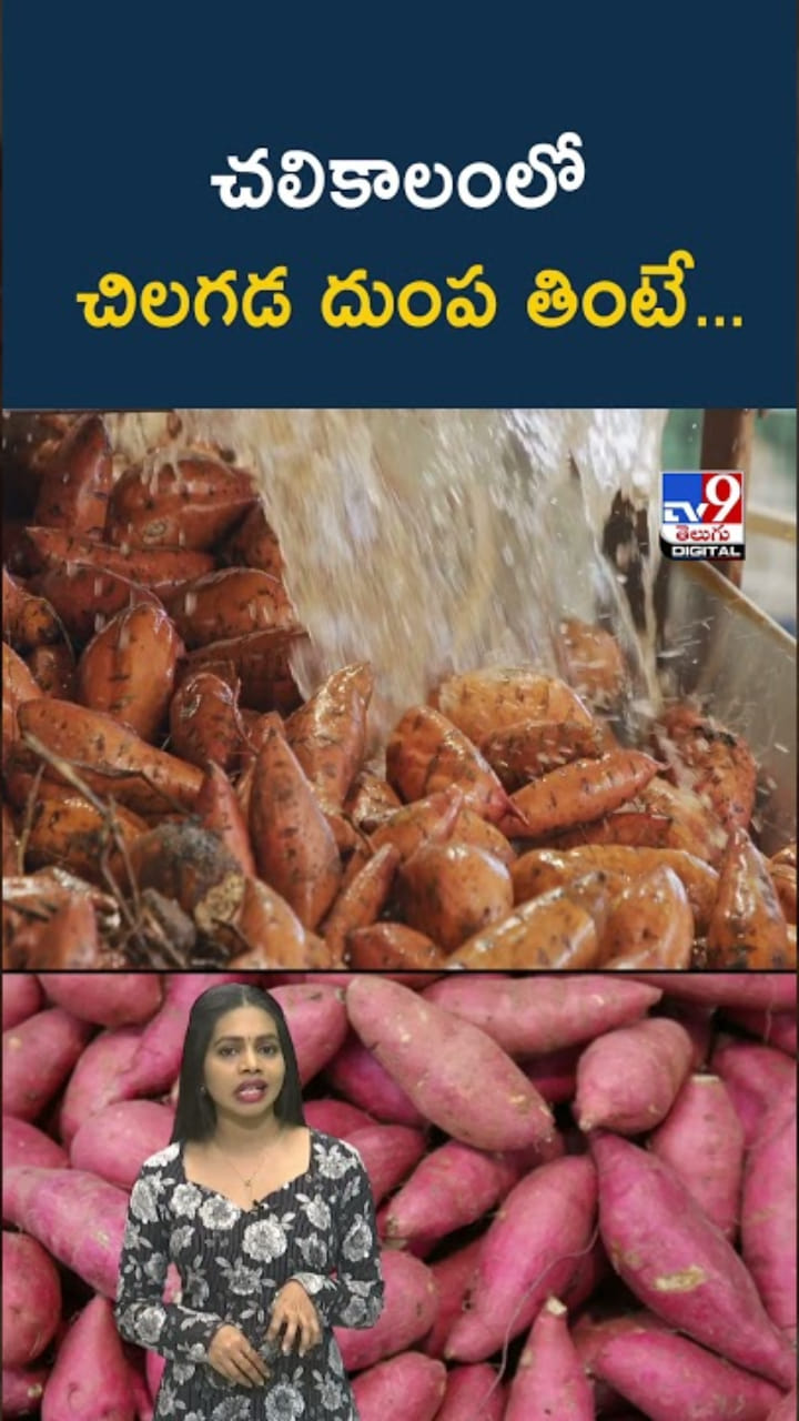 Sweet Potato: చలికాలంలో చిలగడ దుంపలు ఎందుకు తినాలంటే..?