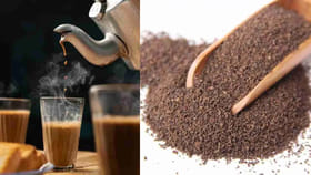 వాడిన టీపొడిని పారేస్తున్నారా? ఉపయోగాలు తెలిస్తే అసలు అలా చేయరు!