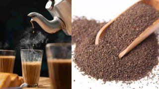 Fish Thorn: చేప ముల్లు గొంతులో ఇరుక్కుపోయిందా? వెంటనే ఇలా చేయండి.! ఇట్టే పోతుంది..