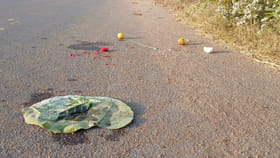 రోడ్డుపై పిండం చెల్లాచెదురుగా పడి ఉందనుకునేరు.. దగ్గరకు వెళ్లి..