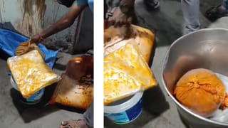 Hyderabad: వంట గదిలో ఎలారా.! యజమానులు వచ్చి చూడగా లోపల బ్యాగుల్లో