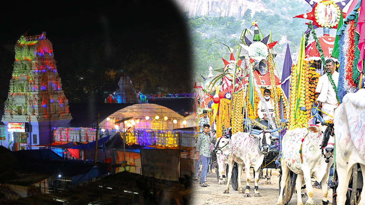 కొత్త కొండ జాతర : సంక్రాంతి పండుగ సమయంలో మాత్రమే జరిగే స్పెషల్ జాతరలో కొత్తకొండ జాతర ఒకటి. సమ్మక్క సారలమ్మ జాతర తర్వాత అతి పెద్ద జాతరగా ఇది పేరుగాంచింది. ఇక్కడ కొండ మీద కొలువై ఉన్న శ్రీ వీరభద్రస్వామి వారికి గుమ్మడికాయలు కోరమీసాలు ప్రత్యేకంగా సమర్పిస్తారు. భోగి పండుగ రోజున ఎడ్ల బండ్లు, ట్రాక్టర్స్లలో చాలా మంది భక్తులు కొత్తకొండకు బయల్దేరుతారు. ఈ జాతరకు దాదాపు 5 లక్షలకు పైగా భక్తులు వస్తారంట. తెలంగాణలో ఫేమస్ జాతరలో ఇదొక్కటి.