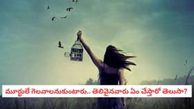 మూర్ఖులే గెలవాలనుకుంటారు.. తెలివైనవారు ఏం చేస్తారో తెలుసా?