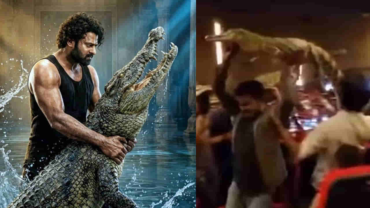 The Raja Saab: మరీ ఇలా ఉన్నారేంట్రా? ప్రభాస్ ది రాజసాబ్ థియేటర్లోకి మొసళ్లు.. వీడియో ఇదిగో