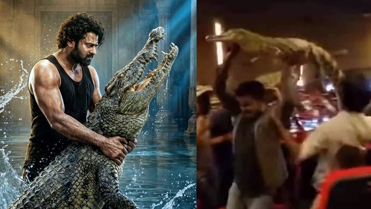 The Raja Saab: మరీ ఇలా ఉన్నారేంట్రా? ప్రభాస్ 'ది రాజసాబ్' థియేటర్లోకి మొసళ్లు.. వీడియో ఇదిగో