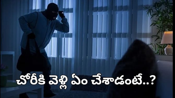 నువ్వేం దొంగవు రా నాయనా.. నీ తెలివి తెల్లార.. ఏం జరిగిందో..