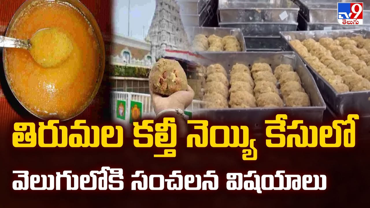 Tirumala: తిరుమల కల్తీ నెయ్యి కేసులో వెలుగులోకి సంచలన విషయాలు