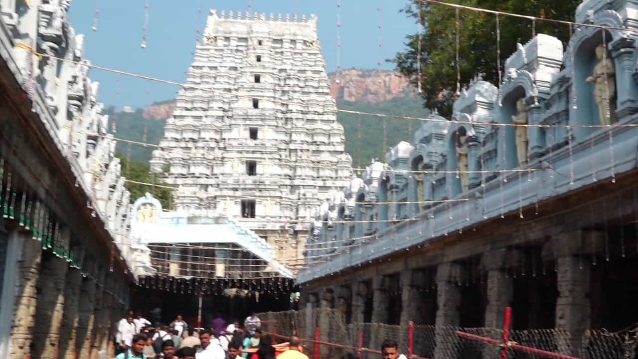 Alipiri Mandapam development: తిరుమల తిరుపతి దేవస్థానం(టీటీడీ) పురాతన కట్టడాల పరిరక్షణకు చర్యలు చేపట్టింది. తిరుమల క్షేత్రంలోని 1000ఏళ్ల చరిత్ర కలిగిన ప్రాచీన కట్టడాలు రాత్రి మండపాలు మెట్ల మార్గాలను పధిల పరుచుకునే ప్రయత్నం చేస్తోంది. ఏఎస్ఐ తరహాలో శాస్త్రీయ పద్ధతులను అవలంబిస్తోంది. టీటీడీ ఇంజనీరింగ్ విభాగంలో కన్జర్వేషన్ అండ్ ప్రిజర్వేషన్ సెల్ను అందుబాటులోకి తెచ్చింది. ఇందులో భాగంగానే తిరుపతిలోని పాదాల మండపానికి పూర్వ వైభవం తీసుకొస్తోంది. పునరుద్ధరణ పనులను చేపట్టింది.