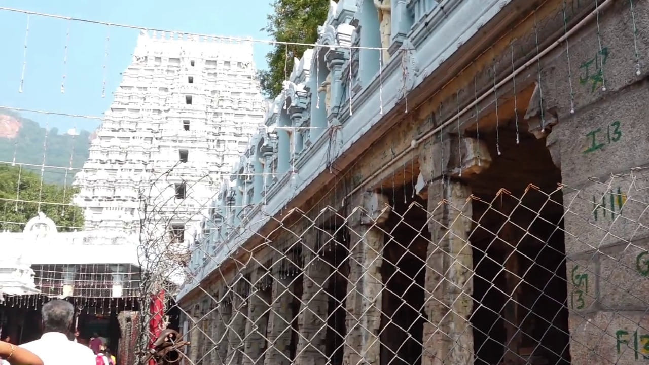 పాదాల మండపానికి పూర్వ వైభవం..
స్వచ్ఛంద సంస్థల సహకారంతో పురాతన కట్టడాల పరిరక్షణ పనులు చేపట్టిన టిటిడి.. కట్టడాల పటిష్టత చారిత్రక ప్రాధాన్యాన్ని కాపాడుకునేందుకు ఎప్పటికప్పుడు ఆడిట్ నిర్వహించబోతోంది. ఇందులో భాగంగానే పాదాల మండపానికి పూర్వ వైభవం తీసుకొస్తోంది. పూణేకు చెందిన లార్డ్ వెంకటేశ్వర చారిటబుల్ అండ్ రిలీజియస్ ట్రస్ట్ ఆధ్వర్యంలో దాదాపు రూ. 5 కోట్లతో మండప జీర్ణోద్ధరణ పనులు చేపట్టింది. ఈ మేరకు డాక్యుమెంటేషన్ ప్రక్రియతో పనులను టిటిడి ప్రారంభించింది.