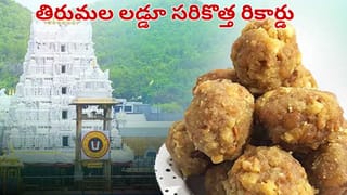 Tirumala: టీటీడీ ఆల్ టైమ్ రికార్డ్.. గతేడాది ఎన్ని కోట్ల లడ్డూలు అమ్మిందో తెలిస్తే అవాక్కే..